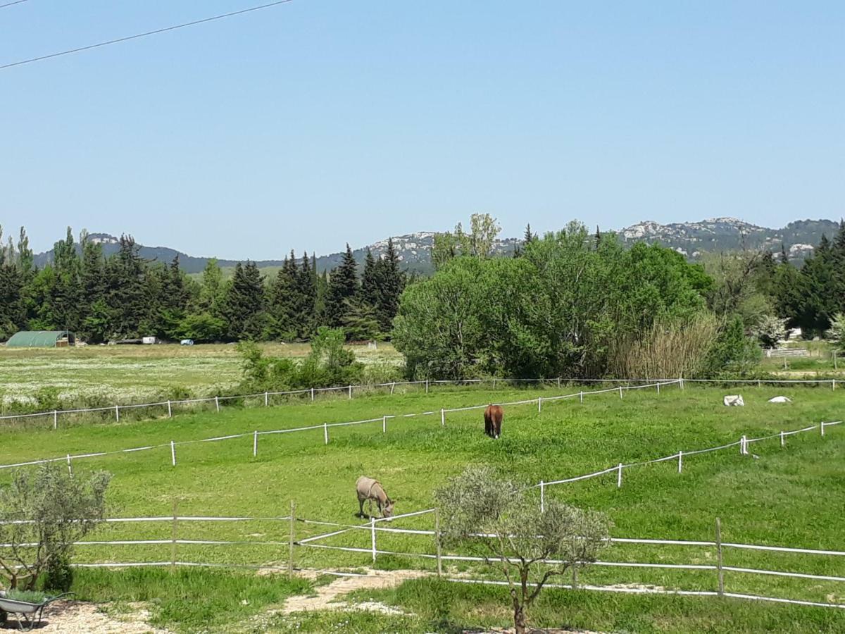 Hotel Roulotte Le Jas De Cigalon Maussane les Alpilles Exterior foto