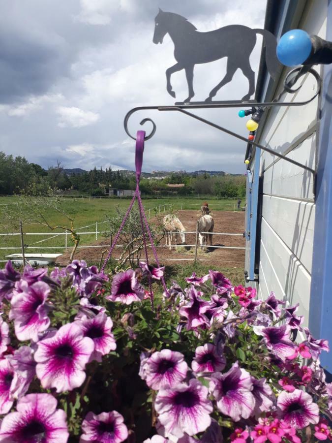 Hotel Roulotte Le Jas De Cigalon Maussane les Alpilles Exterior foto